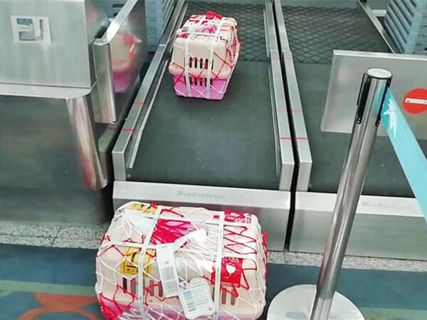 深圳宠物托运公司