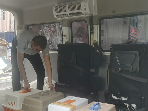 高铁宠物托运