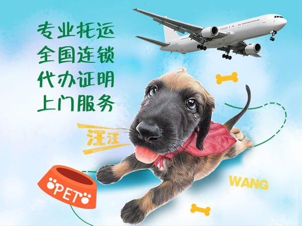 宠物托运机构